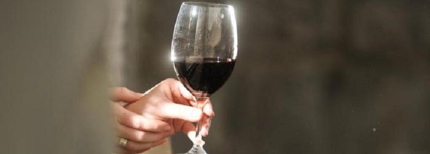 Comitiva com mais de 20 autoridades viaja à Itália para promover feira internacional de vinhos na Serra
