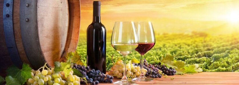 E os melhores vinhos da península de Setúbal são…