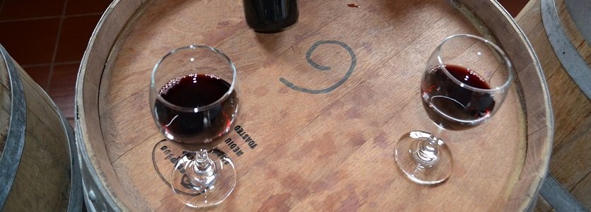 Roteiro do Vinho de São Roque oferece passeios, degustação e descontos