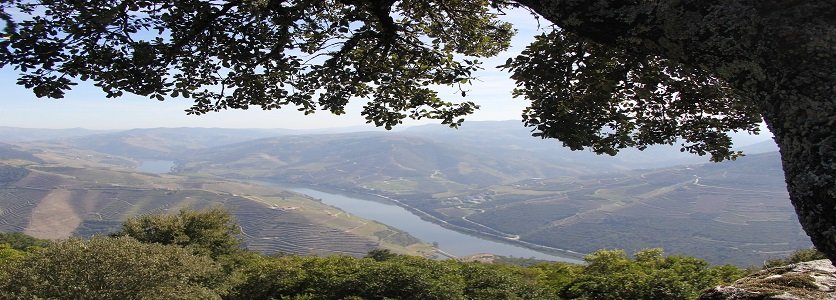 Douro recebe três milhões para promover o enoturismo