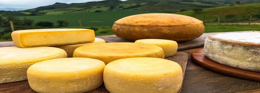 Serra da Canastra terá a primeira escola para a formação de mestres queijeiros do Brasil