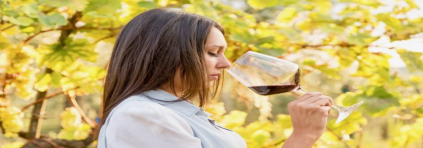Mulheres e vinho: a relação do álcool com a saúde feminina